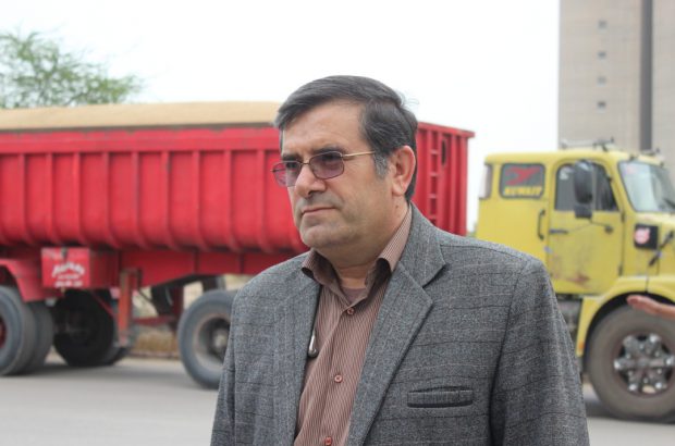  خرید تضمینی گندم در خوزستان از 2 هزار میلیارد تومان عبور کرد/ افزایش 70 درصدی خرید کلزا