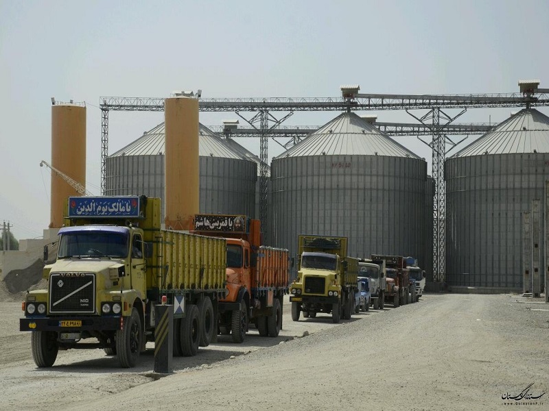 n83048195 72572382 بیش از ۱.۳ میلیون تن گندم به نرخ تضمینی از کشاورزان خوزستانی خریداری شد