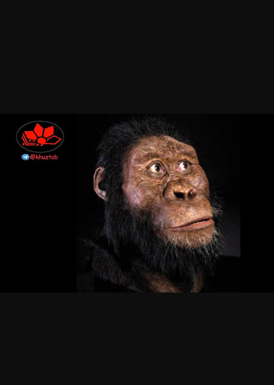 IMG 20190830 223849 702 این تصویر انسان 4 میلیون سال پیش است !