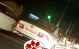 IMG 20210430 043316 813 160x100 سگ گردانی شبانه با خودرو پلاک دولتی در اهواز