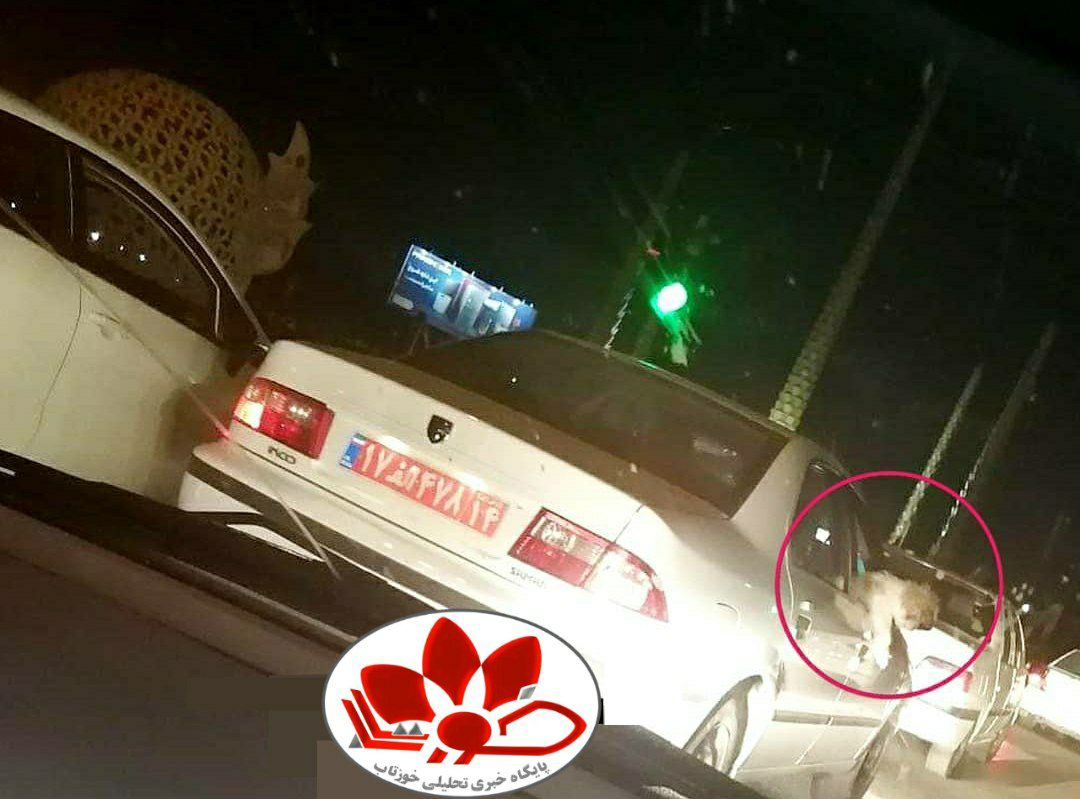 IMG 20210430 043316 813 سگ گردانی شبانه با خودرو پلاک دولتی در اهواز