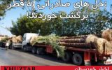 PicsArt 11 26 02.06.31 160x100 نخل‌های جنجالی از قطر به ایران برگشت خوردند!
