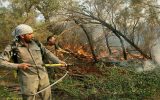 2129716851 160x100 آتش‌سوزی اراضی جنگلی و علف‌زارهای پارک ملی کرخه مهار شد
