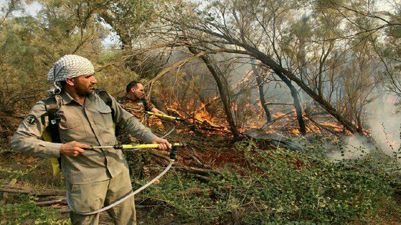 2129716851 آتش‌سوزی اراضی جنگلی و علف‌زارهای پارک ملی کرخه مهار شد