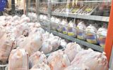 169196075 160x100 توزیع یکهزار و ۲۰۰ تن مرغ منجمد در خوزستان