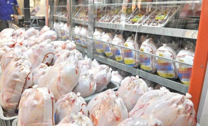 169196075 توزیع یکهزار و ۲۰۰ تن مرغ منجمد در خوزستان