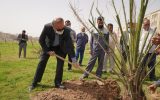 IMG 20220307 WA0001 160x100 شهردار بندرماهشهر : ۵ هزار اصله درخت از جانب شهرداری به مردم اهدا خواهد شد