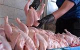 62260804 160x100 توزیع ٢٧٠ تن مرغ کشتار روز در خوزستان