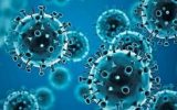  شیوع گونه H۳N۲ آنفلوآنزا در کشور