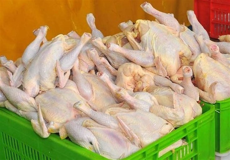 227511 117 برنامه ریزی برای توزیع هوشمند مرغ در خوزستان