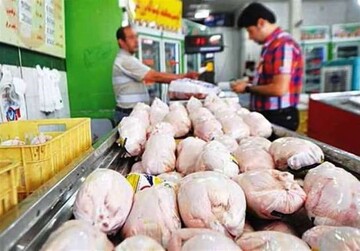 5747894 فروش مرغ کشتار روز در بازارهای خوزستان زیر قیمت مصوب