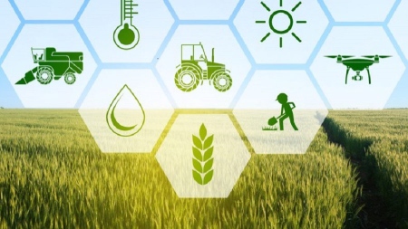 agricultural insurance 02 اطلاعیه مهم و متعهدانه صندوق بیمه کشاورزی