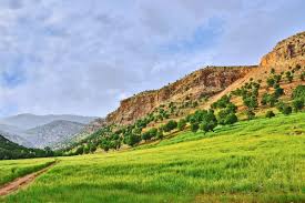download 1 زاگرس؛ ستون فقرات زیست‌بوم ایران در معرض بحرانی بی‌سابقه